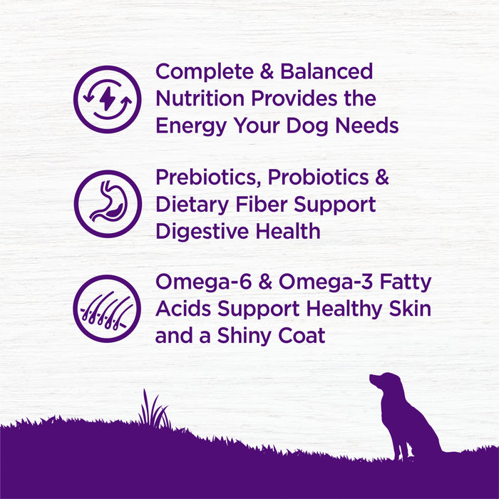 Wellness Complete Health Dry Dog Food, Wholesome Grains, Natural, Lamb & Barley Recipe, (26-Pound Bag)
