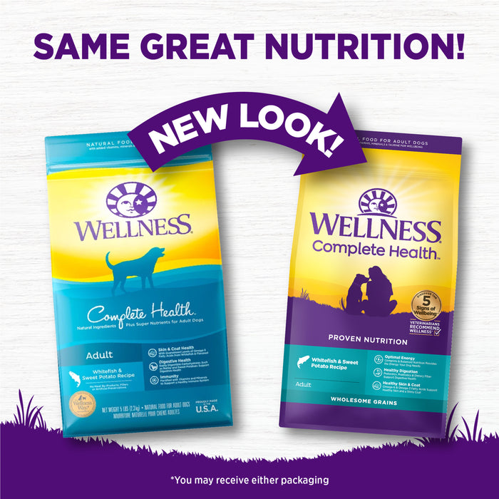 Wellness Complete Health Dry Dog Food, Wholesome Grains, Natural, Whitefish & Sweet Potato Recipe, (26-Pound Bag)