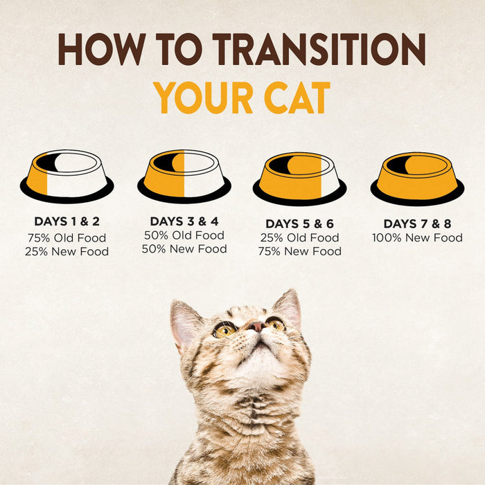 Wellness CORE Grain Free Natural Indoor Health Chicken and Turkey Recipe Dry Cat Food