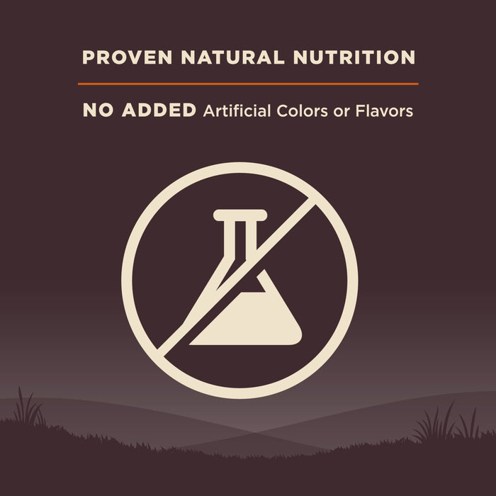 Wellness CORE Natural Grain Free Dry Dog Food, Original Turkey & Chicken, 24-Pound Bag