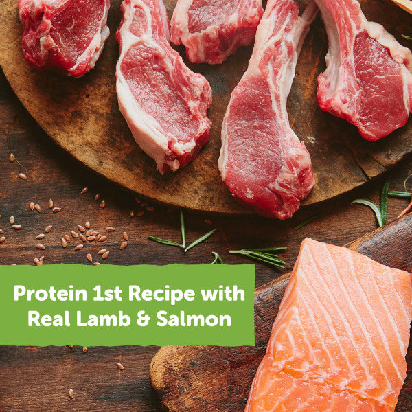 Wellness Rewarding Life Lamb & Salmon Recipe Dog Treats, 6 oz. Bag