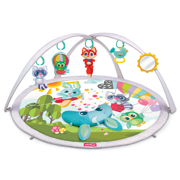 Winfun Baby Space Activity Gym