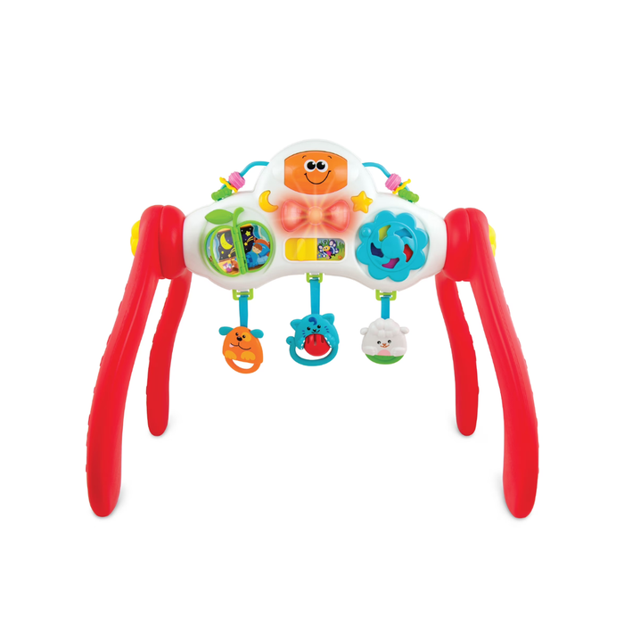 Winfun Grow With Me Melody Gym