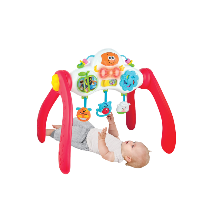 Winfun Grow With Me Melody Gym